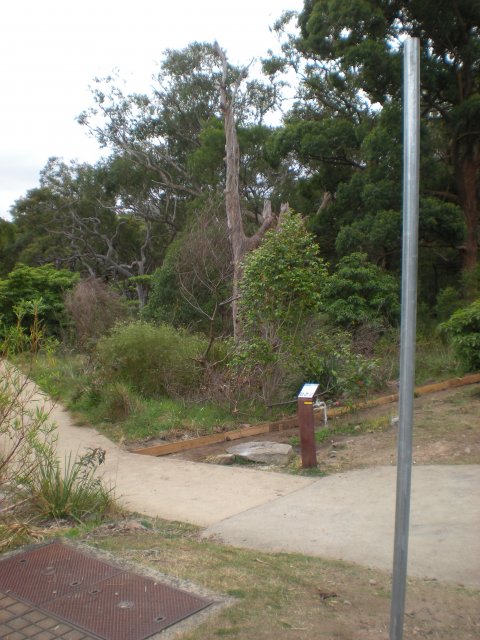 Plaque in honour of Queen Gooseberry, near Bungaree's farm, George's Head